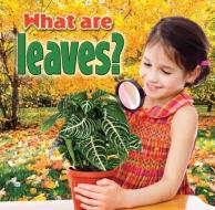 What Are Leaves di Kelley MacAulay edito da Crabtree Publishing Co,US
