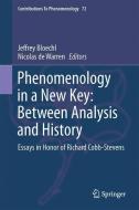 Phenomenology in a New Key - Between Analysis and History edito da Springer-Verlag GmbH