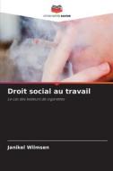 Droit social au travail di Janikel Wilmsen edito da Editions Notre Savoir
