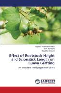 Effect of Rootstock Height and Scionstick Length on Guava Grafting di Rajatiya Puriben Hamirbhai, D. R. Kanzaria, Bhadarka Chandni edito da LAP LAMBERT Academic Publishing