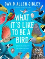 What It's Like to Be a Bird (Adapted for Young Readers): From Flying to Nesting, Eating to Singing--What Birds Are Doing, and Why di David Allen Sibley edito da DELACORTE PR