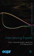 Interviewing Experts edito da Palgrave MacMillan