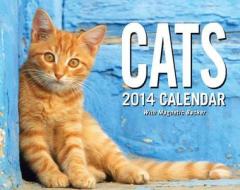 Cats Calendar di Andrews McMeel Publishing, Andrews McMeel Publishing LLC edito da Andrews McMeel Publishing