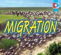 Migration di Coming Soon edito da EYE DISCOVER