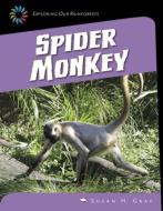 Spider Monkey di Gray Susan H. edito da CHERRY LAKE PUB