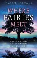 Pagan Portals - Where Fairies Meet: Parallels Between Irish and Romanian Fairy Traditions di Daniela Simina edito da MOON BOOKS