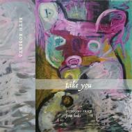 Like You: Poems di Beth Roberts edito da FENCE BOOKS