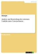Analyse und Beurteilung des externen Umfelds eines Unternehmens di Anonym edito da GRIN Verlag