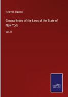 General Index of the Laws of the State of New York di Henry H. Havens edito da Salzwasser-Verlag