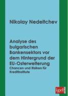 Analyse des bulgarischen Bankensektors vor dem Hintergrund der EU-Osterweiterung di Nikolay Nedeltchev edito da Igel Verlag