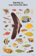Tropical Fish Poster di Dover Publications Inc edito da Dover Publications Inc.