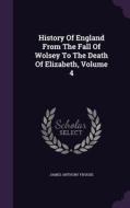 History Of England From The Fall Of Wolsey To The Death Of Elizabeth, Volume 4 di James Anthony Froude edito da Palala Press