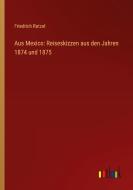Aus Mexico: Reiseskizzen aus den Jahren 1874 und 1875 di Friedrich Ratzel edito da Outlook Verlag