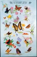 Butterflies di Dover Publications Inc edito da Dover Publications Inc.