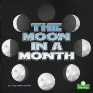The Moon in a Month di Tracy Nelson Maurer edito da CRABTREE SEEDLINGS