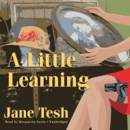 A Little Learning: A Maclin Investigations Mystery di Jane Tesh edito da Blackstone Audiobooks