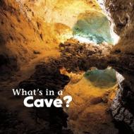 What's in a Cave? di Martha Elizabeth Hillman Rustad edito da CAPSTONE PR