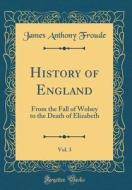 History of England, Vol. 3: From the Fall of Wolsey to the Death of Elizabeth (Classic Reprint) di James Anthony Froude edito da Forgotten Books