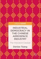 Industrial Democracy in the Chinese Aerospace Industry di Denise Tsang edito da Palgrave Macmillan