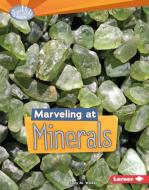 Marveling at Minerals di Sally M. Walker edito da LERNER PUB GROUP