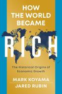 How The World Became Rich di Mark Koyama, Jared Rubin edito da Polity Press