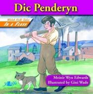 DIC Penderyn (English) di Meinir Wyn Edwards edito da LOLFA