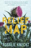 Relief Map di Rosalie Knecht edito da TIN HOUSE BOOKS