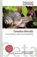 Famelica Bitrudis edito da Betascript Publishing