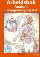 Arbeidsbok Anatomi Bevegelsesapparatet di Jan Porthun edito da Ondefo Verlag