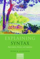 Explaining Syntax: Representations, Structures, and Computation di Peter W. Culicover edito da PRACTITIONER LAW