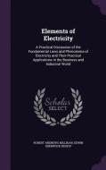 Elements Of Electricity di Robert Andrews Millikan, Edwin Sherwood Bishop edito da Palala Press