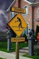 Zombie Crossing Journal: 100 Page Ruled Notebook/Diary di Cool Image edito da Createspace