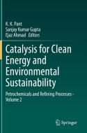 Catalysis for Clean Energy and Environmental Sustainability edito da Springer International Publishing