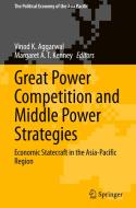 Great Power Competition and Middle Power Strategies edito da Springer Nature Switzerland