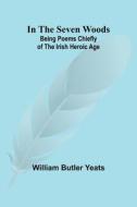 In The Seven Woods; Being Poems Chiefly of the Irish Heroic Age di William Butler Yeats edito da Alpha Editions