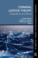Criminal Justice Theory, Volume 26 edito da Taylor & Francis Ltd