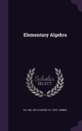 Elementary Algebra di H E 1861-1937 Slaught, N J 1874- Lennes edito da Palala Press