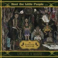 Meet the Little People ...: An Enchanting Adventure di Christine V. Disano edito da Balboa Press