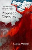 Prophetic Disability di Sarah J. Melcher edito da Baylor University Press