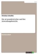 Die Uti Possidetis-lehre Und Ihre Anwendungsbereiche di Christian Schallitz edito da Grin Publishing