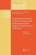 Small-Scale Structures in Three-Dimensional Hydrodynamic and Magnetohydrodynamic Turbulence edito da Springer Berlin Heidelberg
