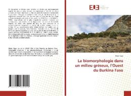 La biomorphologie dans un milieu gréseux, l'Ouest du Burkina Faso di Malo Yaya edito da Éditions universitaires européennes