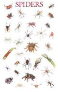 Spiders Poster di Dover edito da Dover Publications Inc.
