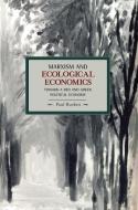 Marxism and Ecological Economics: Toward a Red and Green Political Economy di Paul Burkett edito da HISTORICAL MATERIALISM