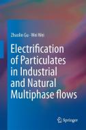 Electrification of Particulates in Industrial and Natural Multiphase flows di Zhaolin Gu edito da Springer