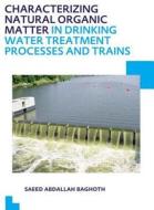 Characterizing Natural Organic Matter in Drinking Water Treatment Processes and Trains di Saeed Abdallah (UNESCO-IHE Institute for Water Education Baghoth edito da Taylor & Francis Ltd