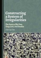 Constructing A System Of Irregularities di Chee Lay Tan edito da Cambridge Scholars Publishing