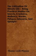 The Utilization Of Minute Life - Being Practical Studies On Insects, Crustacea, Mollusca, Worms, Polypes, Infusoria, And di Thomas Lamb Phipson edito da Davies Press