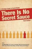 There Is No Secret Sauce: A Strategic Guide to Social Media di Adam Metz edito da FASTPENCIL
