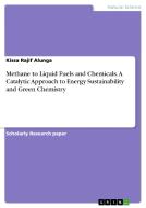 Methane to Liquid Fuels and Chemicals. A Catalytic Approach to Energy Sustainability and Green Chemistry di Kissa Rajif Alunga edito da GRIN Publishing